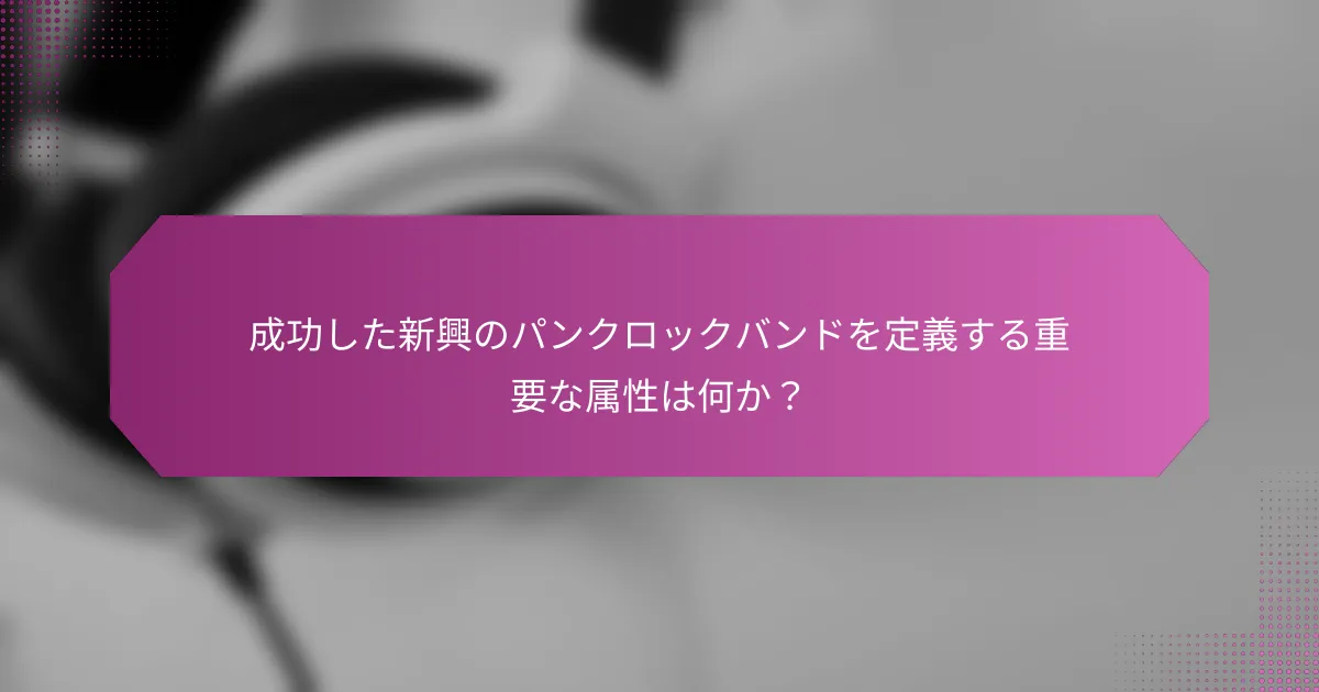 成功した新興のパンクロックバンドを定義する重要な属性は何か？