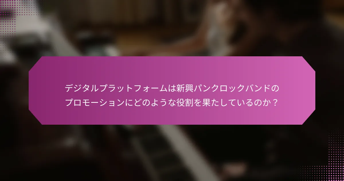 デジタルプラットフォームは新興パンクロックバンドのプロモーションにどのような役割を果たしているのか？