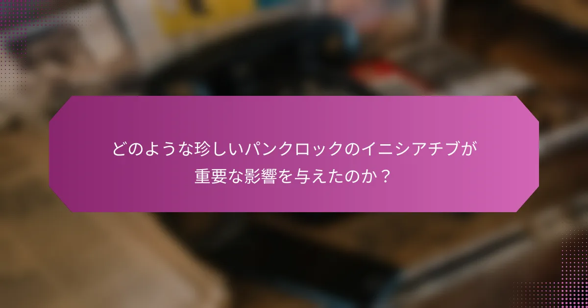 どのような珍しいパンクロックのイニシアチブが重要な影響を与えたのか？