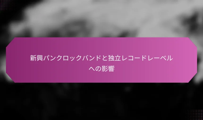新興パンクロックバンドと独立レコードレーベルへの影響