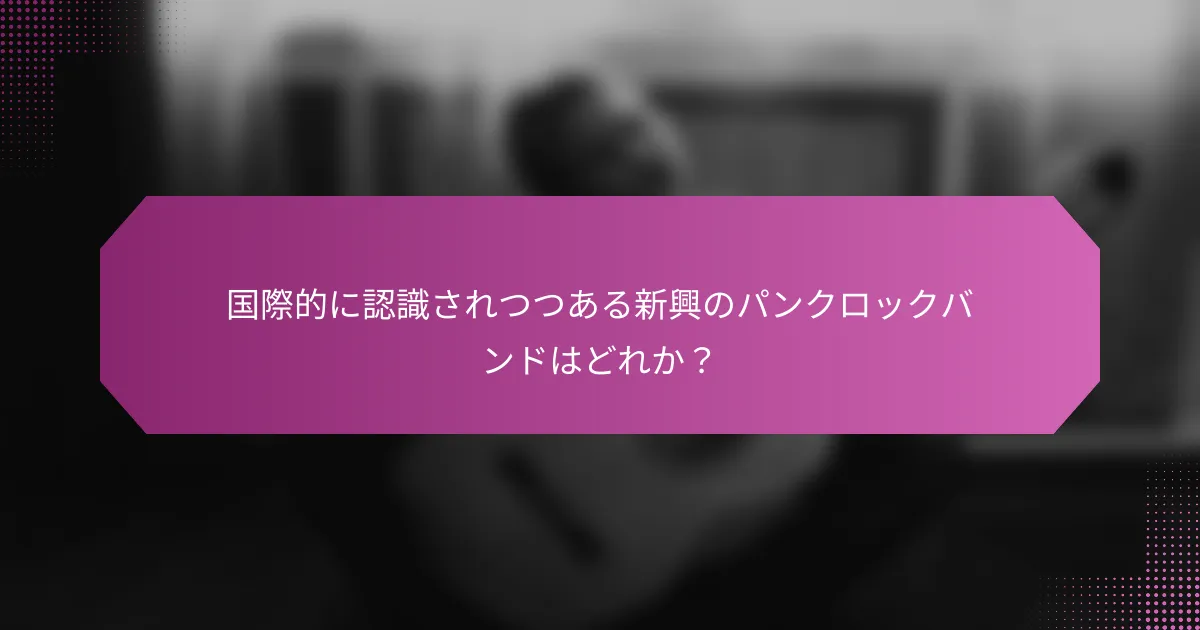 国際的に認識されつつある新興のパンクロックバンドはどれか？