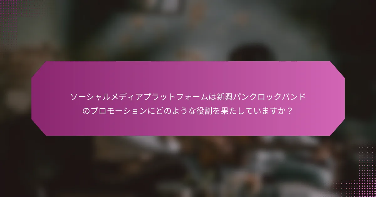 ソーシャルメディアプラットフォームは新興パンクロックバンドのプロモーションにどのような役割を果たしていますか？