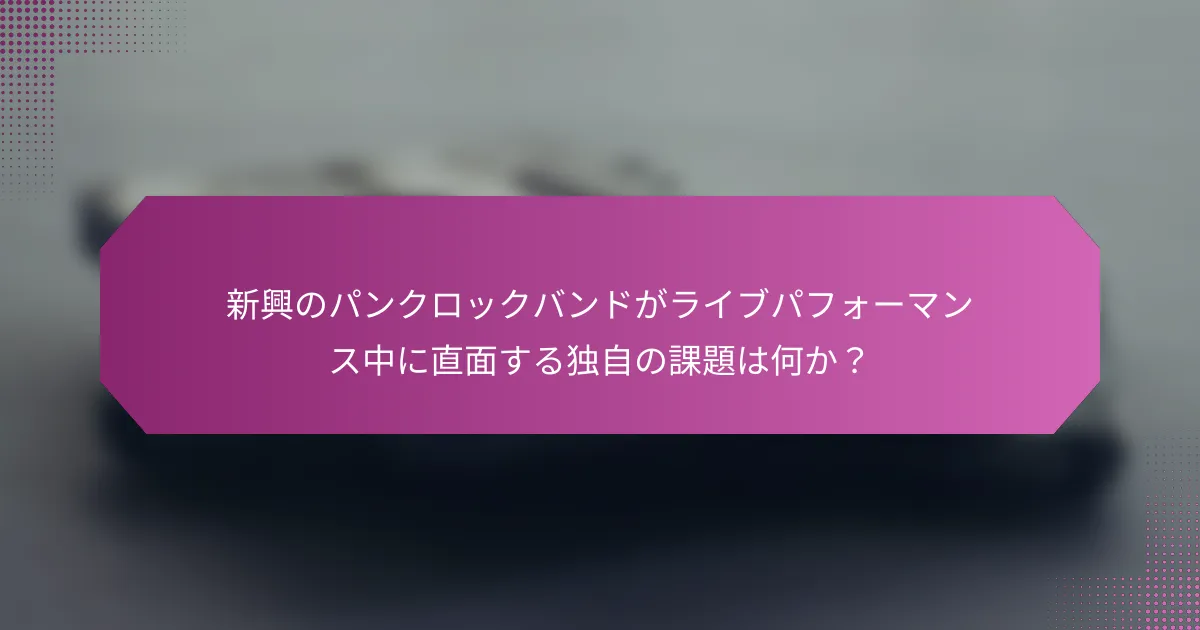 新興のパンクロックバンドがライブパフォーマンス中に直面する独自の課題は何か？
