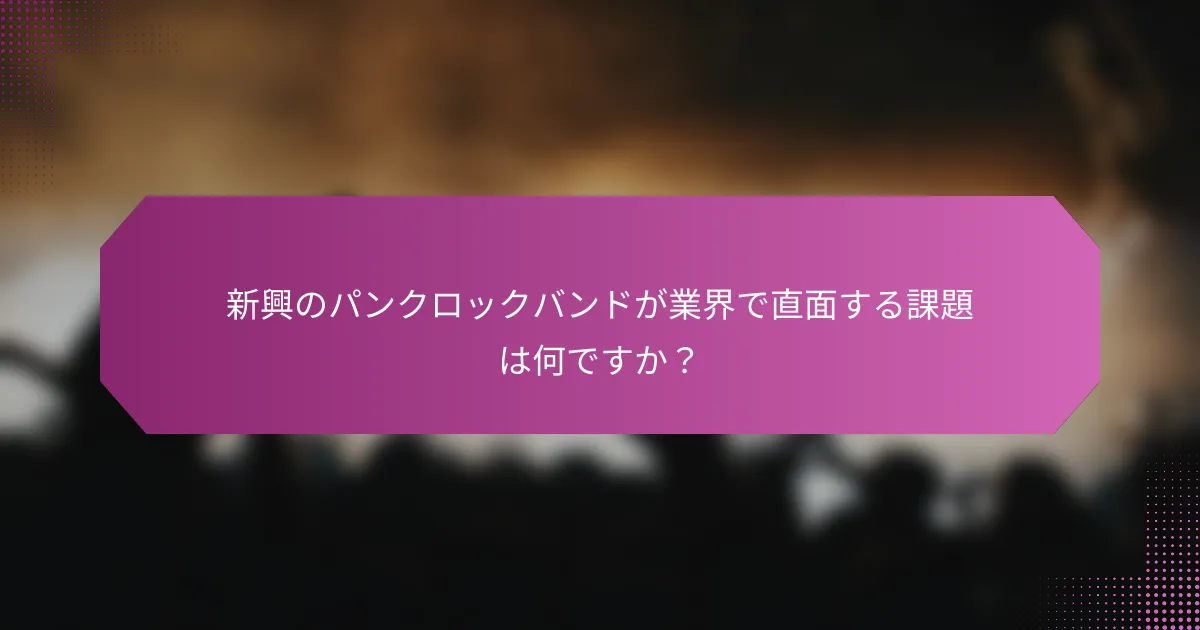 新興のパンクロックバンドが業界で直面する課題は何ですか？
