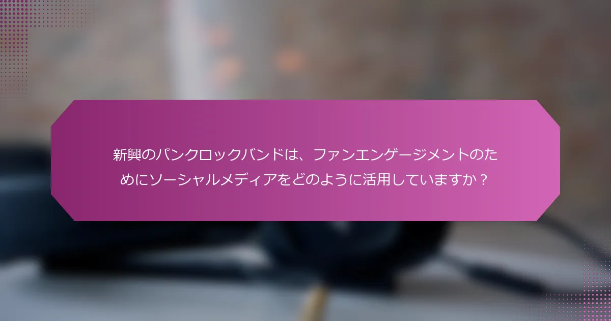 新興のパンクロックバンドは、ファンエンゲージメントのためにソーシャルメディアをどのように活用していますか？