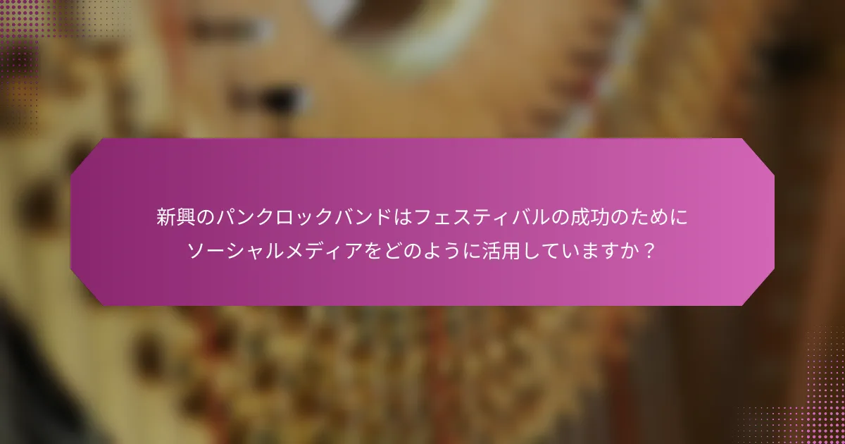 新興のパンクロックバンドはフェスティバルの成功のためにソーシャルメディアをどのように活用していますか？