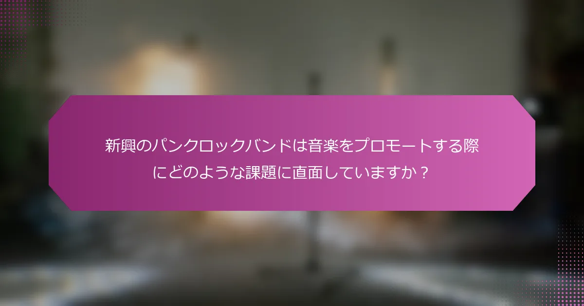 新興のパンクロックバンドは音楽をプロモートする際にどのような課題に直面していますか？