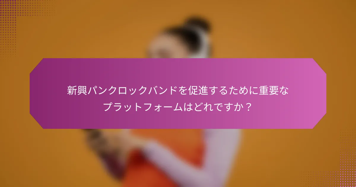 新興パンクロックバンドを促進するために重要なプラットフォームはどれですか？