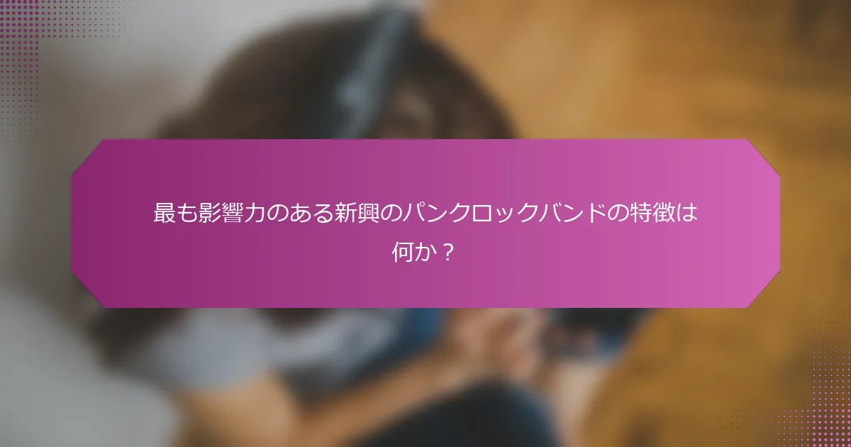 最も影響力のある新興のパンクロックバンドの特徴は何か？